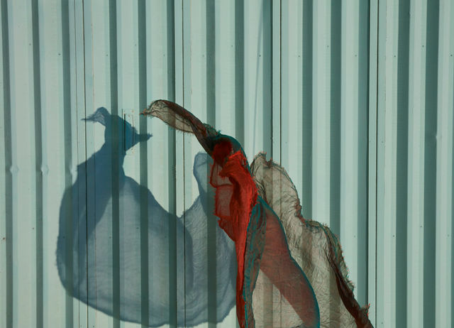Spanish Dancer I, 2018