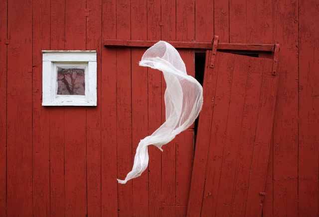 Twister, 2019