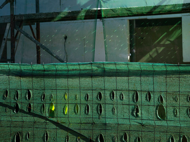 Green Lab, 2025
