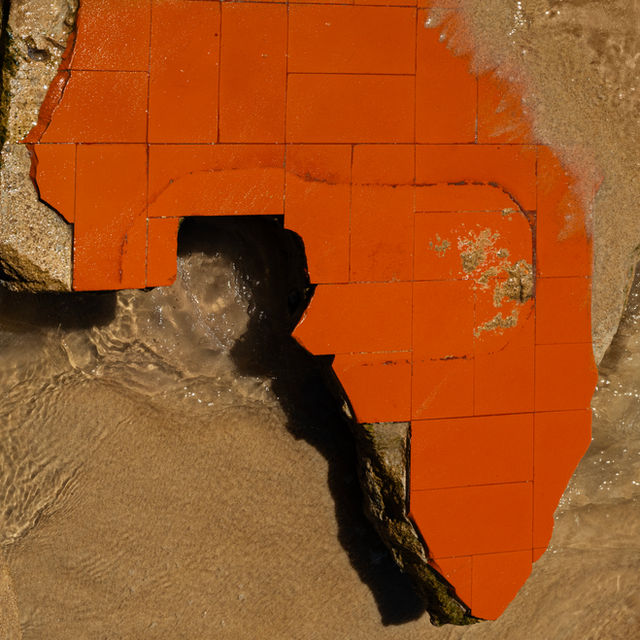 Africa, 2024
