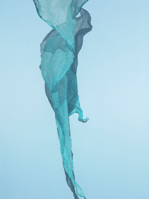 Chamaleon, 2019