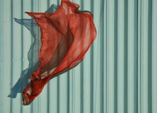 Spanish Dancer II, 2018
