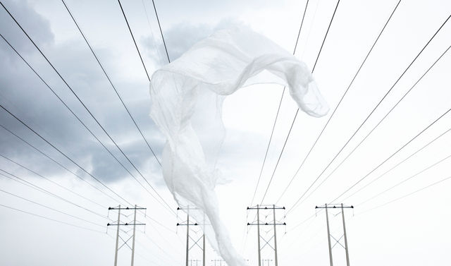 Powerline, 2019