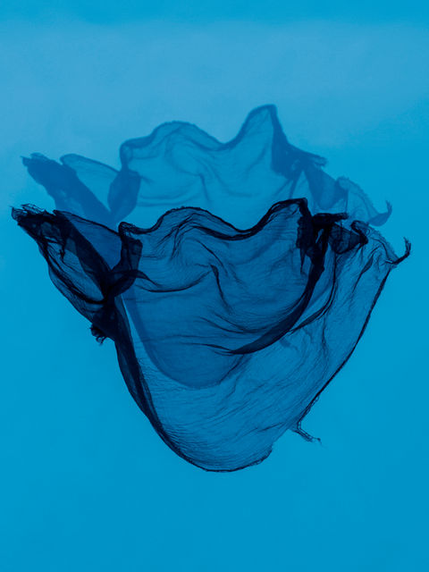 Deep, 2019