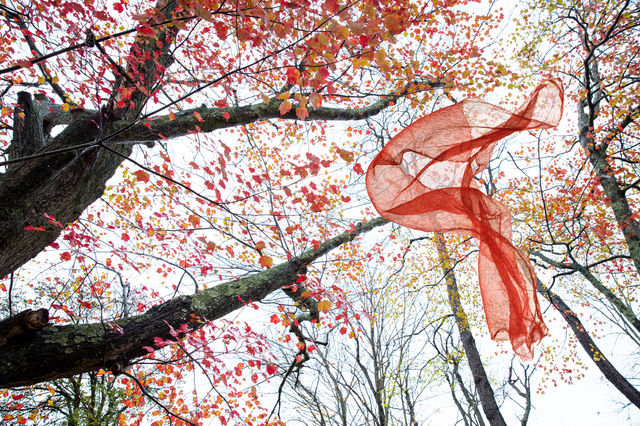 Fall, 2019